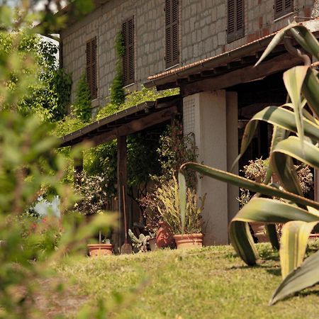 Agriturismo Bio Aia Della Colonna Saturnia Exterior foto