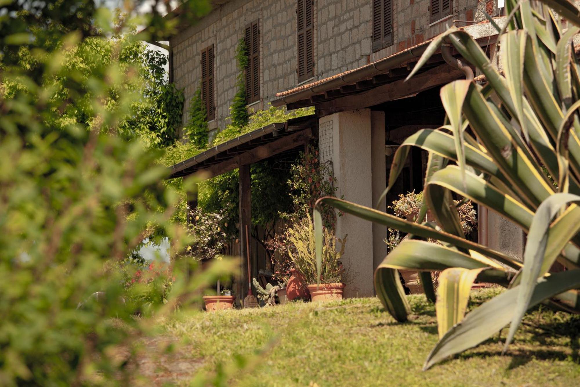 Agriturismo Bio Aia Della Colonna Villa Saturnia Exterior foto